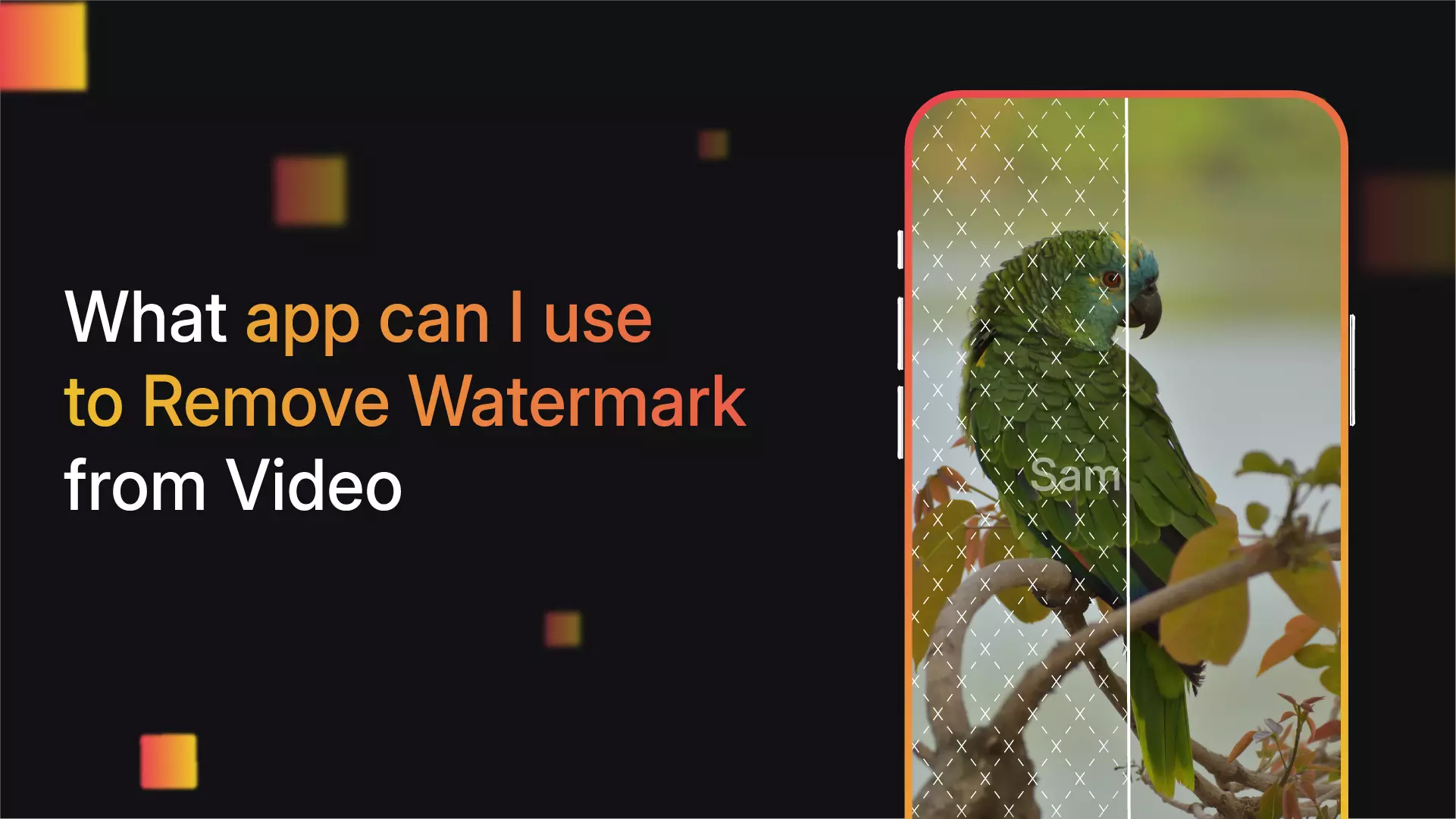 How to remove the DJI watermark from a video in